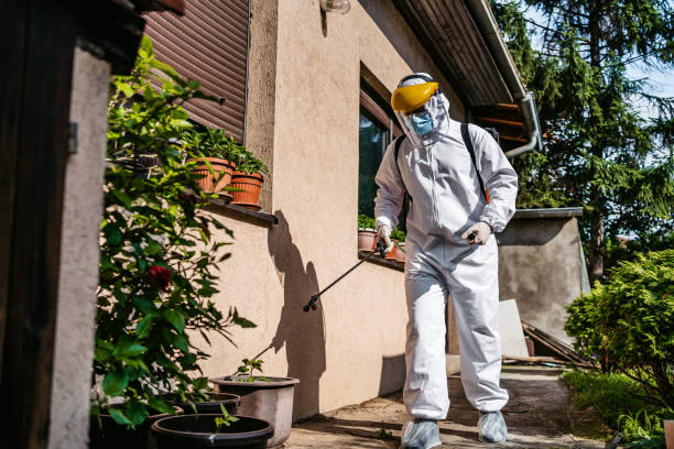 Pest Prevention Services in Spring Valley Village, TX